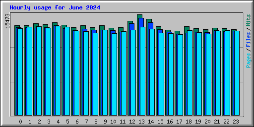 Hourly usage for June 2024
