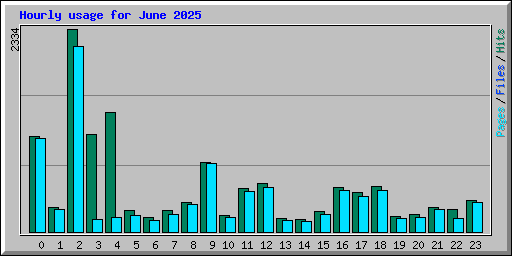 Hourly usage for June 2025